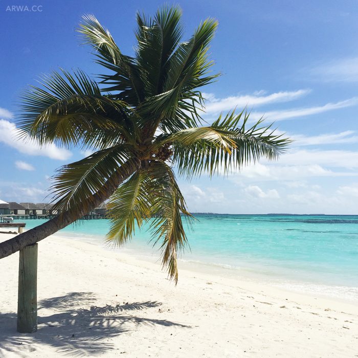 تقرير : جزر المالديف الجميلة